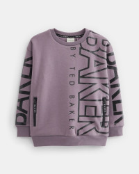 Boys' Branded Jumper in Purple, Olric product