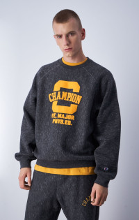 Gris Foncé Sweatshirt Archive Reverse Weave product