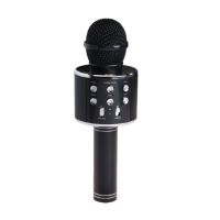 Denver KMS-20B - Karaoke Mikrofon product