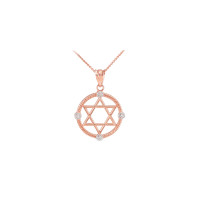 0.05ct Diamond Roped Circle Star of David Necklace in 9ct Rose Gold product