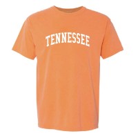 UT Arch Short Sleeve T-Shirt in Melon product