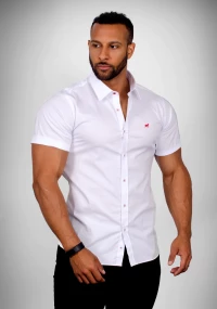 WHITE SHORT SLEEVE MUSCLE FIT SHIRT - BLISS product