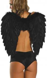 FEATHERED WINGS product