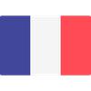 Paris flag