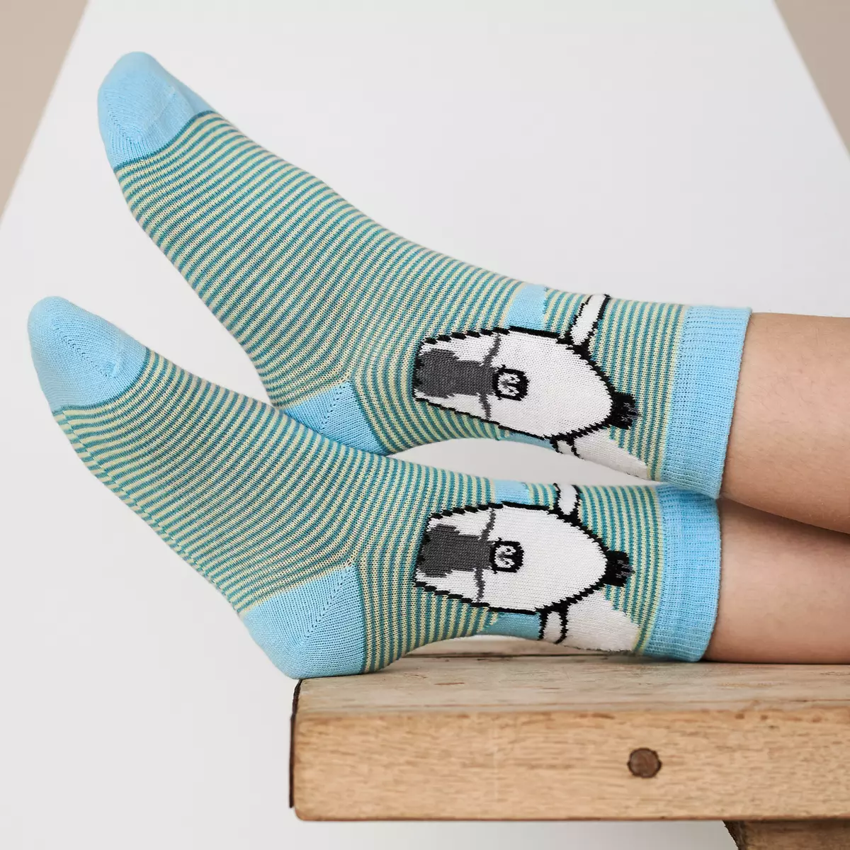 BEAR | Socks 2 Pack