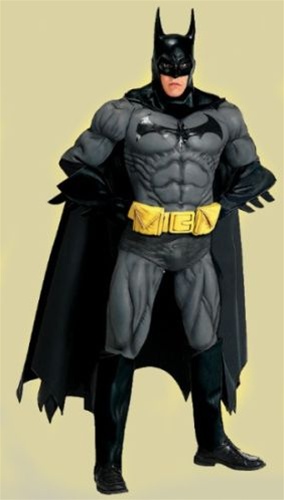 Adult Collector's Batman Costume